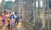 Một khu Vườn quốc gia nổi tiếng ở Bình Phước đang được nhiều người tìm tới xem, có con culi