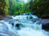 Chiêm ngưỡng những dòng suối, thác nước đẹp tại Vườn Quốc Gia Bù Gia Mập tỉnh Bình Phước