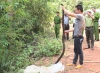 Hổ mang chúa dài 3 mét cắn chết phạm nhân