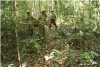 Cộng đồng nhận khoán tuần tra Bảo vệ rừng