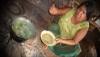 Canh Bồi (T’rao Pi) - món ăn truyền thống của đồng bào S’tiêng, Mơ nông tại Bù Gia Mập