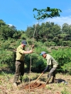 Ban quản lý Vườn quốc gia (BQL VQG) Bù Gia Mập tổ chức phát động phong trào “Tết trồng cây đời đời nhớ ơn Bác Hồ” năm 2025