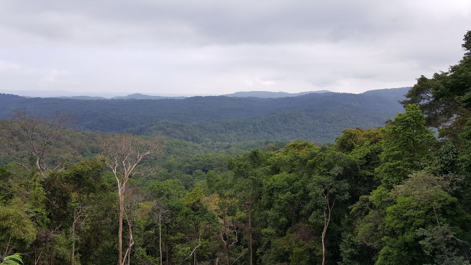 Một góc rừng Vườn quốc gia Bù Gia Mập